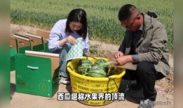 盐城吃瓜网,揭秘盐城美食圈的热门话题与新鲜资讯