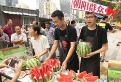 51朝阳群众吃瓜网,网络舆论场上的风云变幻