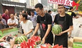 51朝阳群众吃瓜网,网络舆论场上的风云变幻