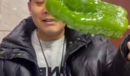 网红斌子事件吃瓜,揭秘网络舆论的狂欢与反思