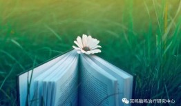 每日都在吃大瓜的句子说说,揭秘娱乐圈的幕后故事