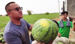 每日吃瓜28,揭秘娱乐圈幕后故事